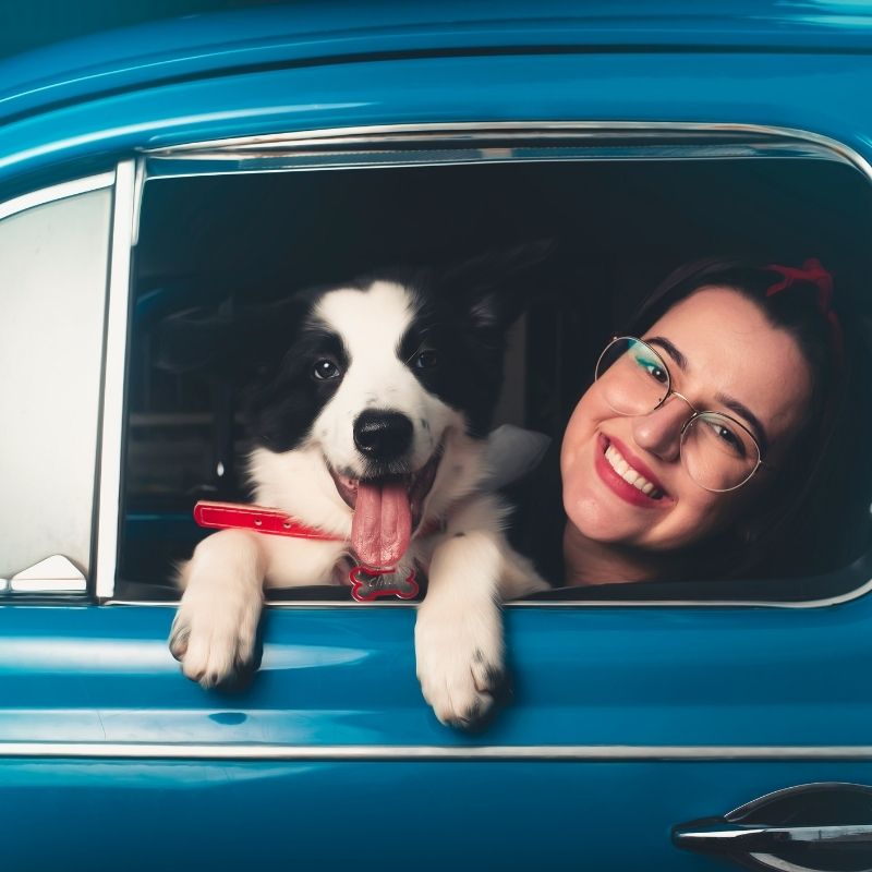 Happy dog and smiling owner enjoying a safe car journey, showcasing stress-free dog travel tips in the UK.