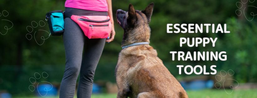 Five Essential Puppy Training Tools for Every Dog Owner. - Peppy Puppy