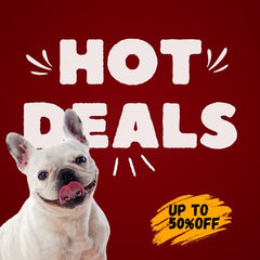 French Bulldog with hot deals up to 50% off