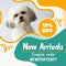 Puppy New Arrivals