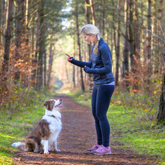 Collection image for: Puppy Training Equipment for Obedience & Agility Success