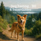 Dog Training & Travel Guides