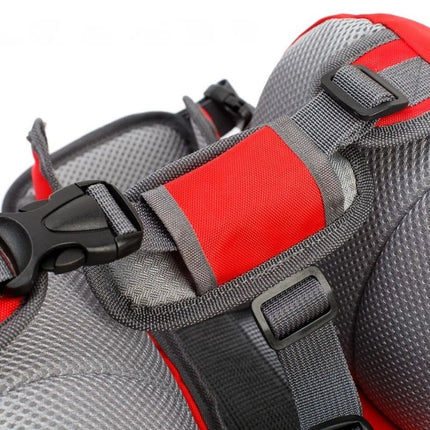 Adjustable strap and safety buckle on dog travel backpack
