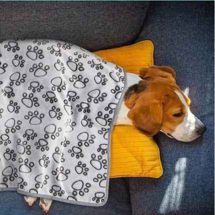 Beagle resting under soft paw print dog blanket