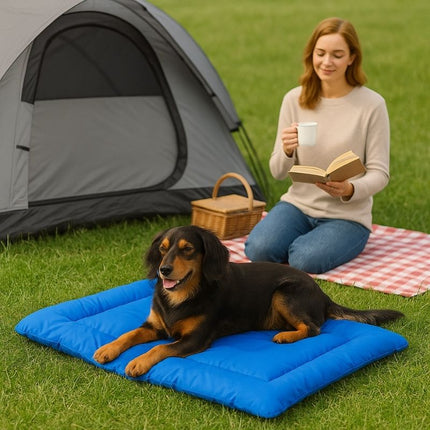 Black and brown dog resting on blue waterproof dog mat at camps
