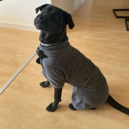 Black dog in grey dog drying coat indoors
