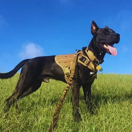 Black dog wearing tan tactical no pull harness UK