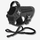 Black tactical dog harness with bungee leash