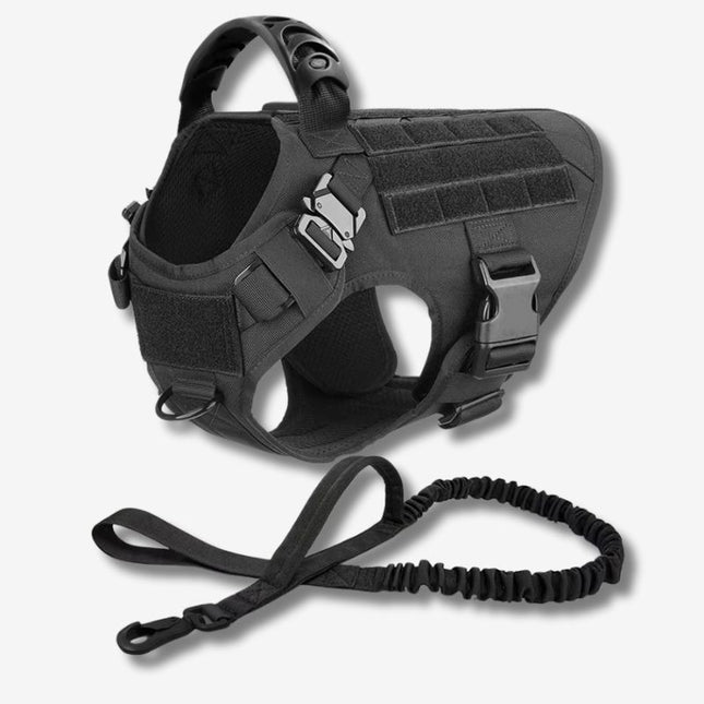 Black tactical dog harness with bungee leash