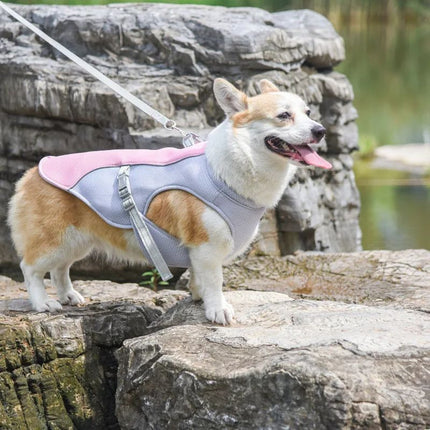 Corgi in pink ChillTail Pro cooling vest harness enjoying a sunny trail