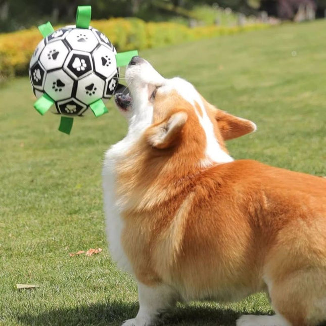 Corgi jumping to catch RuffPlay dog ball in mid-air