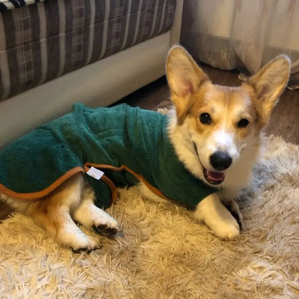 Corgi lounging in green super absorbent dog towel