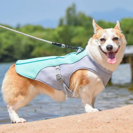 Corgi wearing a dog cooling vest for hot weather enjoying a summer walk by the lake, protected from heatstroke