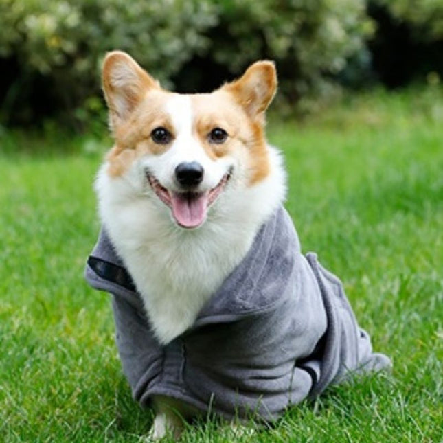 Corgi wearing dog dry robe on grass