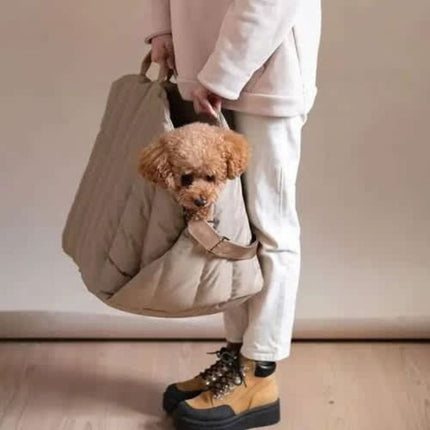 Cute small dog comfortably sitting in cozy car seat carrier secured with safety belt