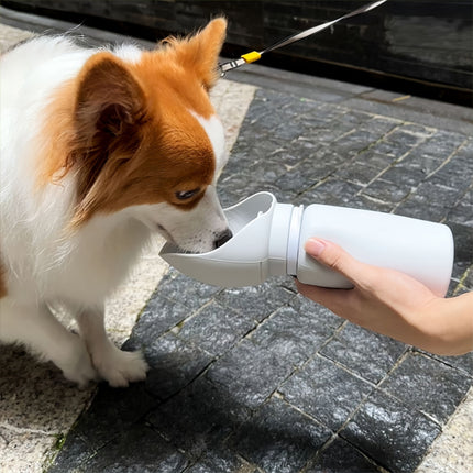 Dog drinking water from a foldable travel bottle during walk