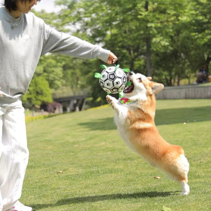 Dog playing tug-of-war with RuffPlay ball outdoors