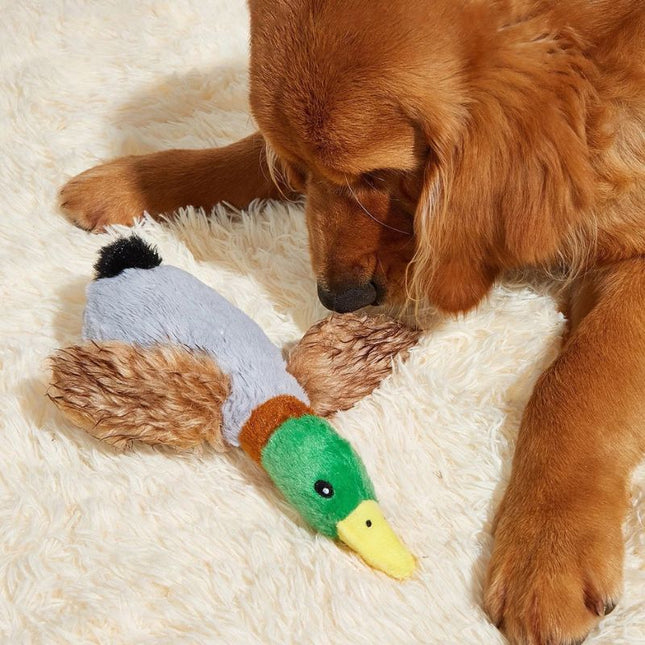 Dog playing with squeaky duck toy in cozy setting