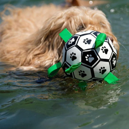 Dog swimming with floating dog ball in mouth