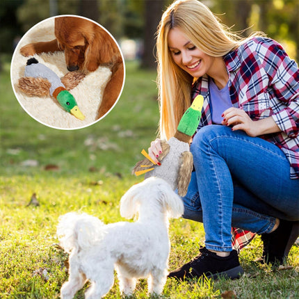 Dog toy designed for training, fetch and interactive fun