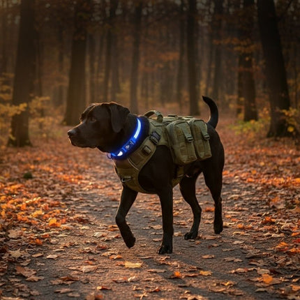 Halloween Safety Kit | Essentials for Dark Walks