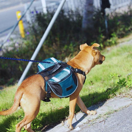 Dog wearing reflective hiking backpack on grassy UK trail