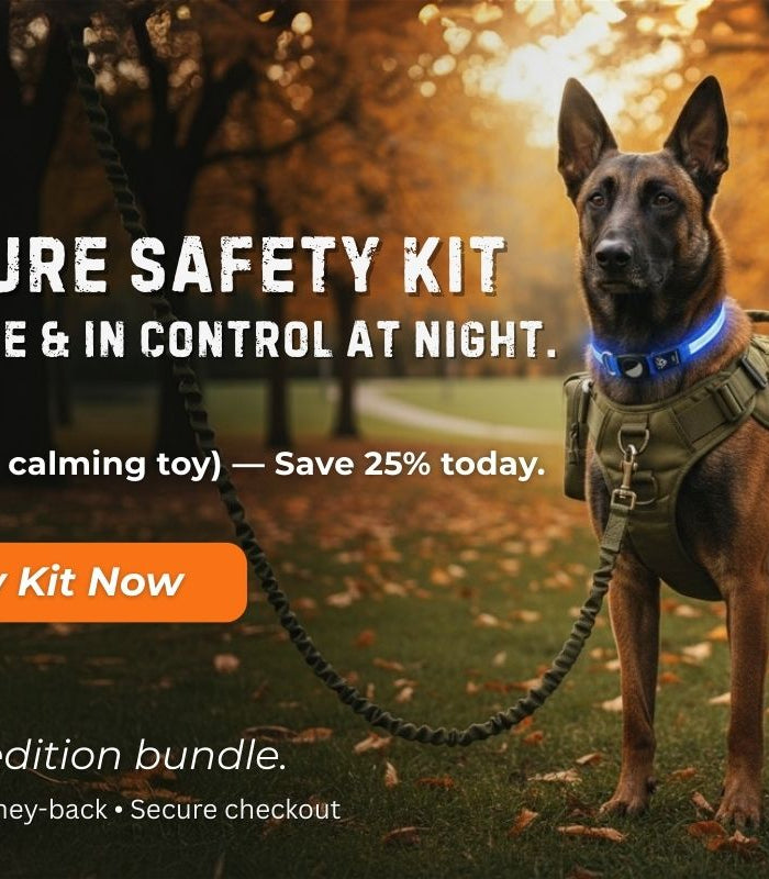 Belgian Malinois wearing escape-proof ValorK9 harness and GlowTrack LED safety collar in a UK autumn park, part of the limited-edition Autumn Adventure Dog Safety Kit bundle.