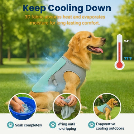 Golden Retriever in evaporative dog cooling vest showing effective body temperature drop with 3D fabric cooling.