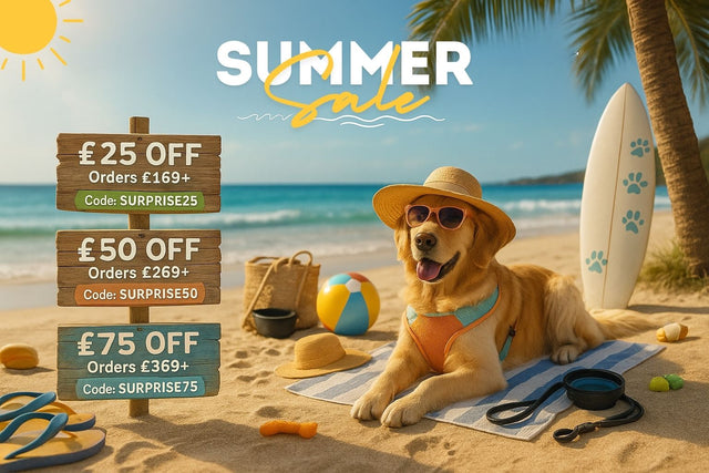 Golden retriever in sunglasses and sun hat lounging on a beach towel next to surf gear, next to wooden signs showing Peppy Puppy summer discount codes.