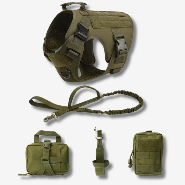 Green escape proof dog harness kit with leash and MOLLE gear