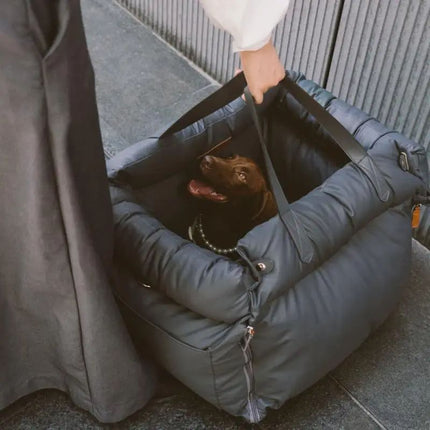 Hand carrying dog car seat with brown dog looking happy and secure