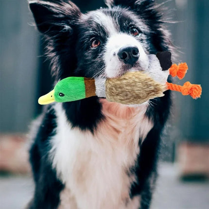 Happy dog cuddling plush duck toy in playtime moment