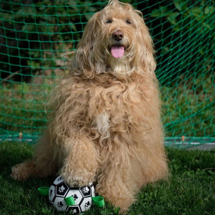 Large dog guarding RuffPlay durable dog ball on field