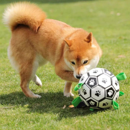 Shiba Inu playing with interactive dog ball on grass