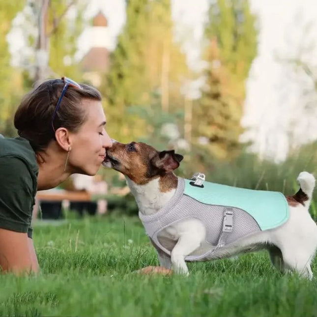 Small dog wearing ChillTail Pro reflective cooling vest kissing owner outdoors in summer