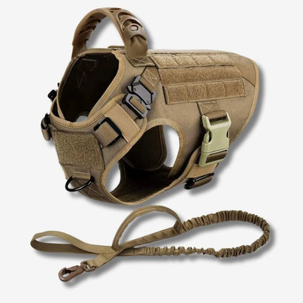 Tan no pull harness and leash set UK
