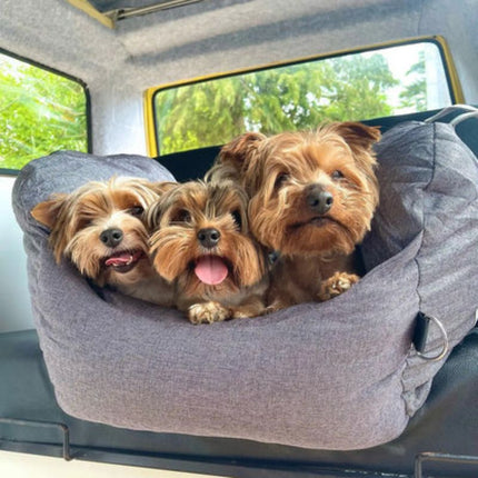 Three small dogs snuggled together in cozy dog car seat