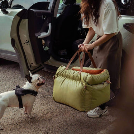 White French Bulldog smiling next to woman and luxury dog car seat