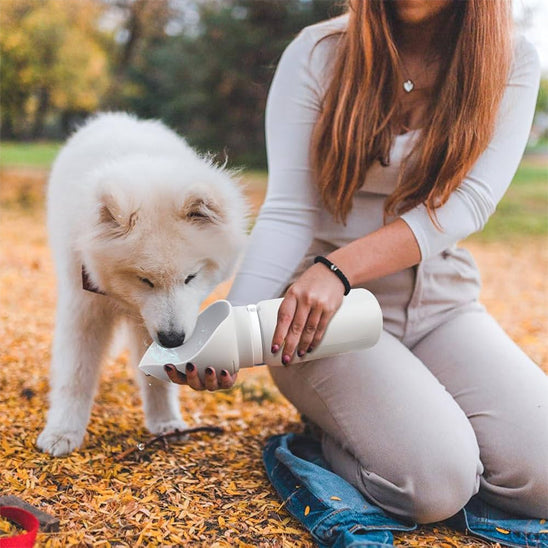 Woman giving water to her dog using portable dog water bottle