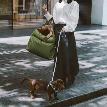 Woman holding plush dog car seat while dog walks beside