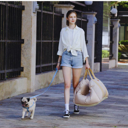Woman walking with pet and dog car seat travel ready