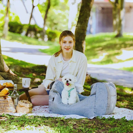 Woman with dog in cozy car seat during outdoor picnic