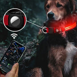 Adventure - Ready GPS Dog Collar – Track, Glow & Explore with Confidence! - Peppy Puppy