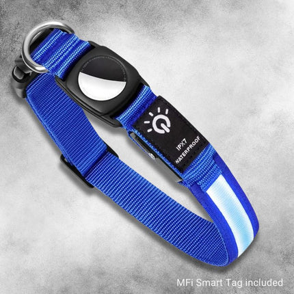 blue led dog collar glow gps waterproof tracker