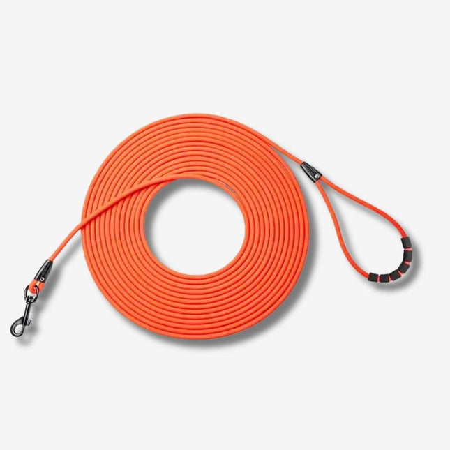 bright orange dog training lead coiled