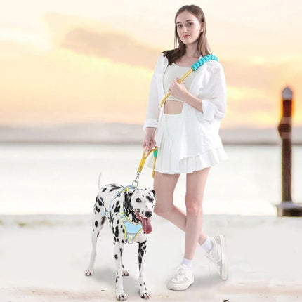 crossbody yellow dog running lead sunset scene