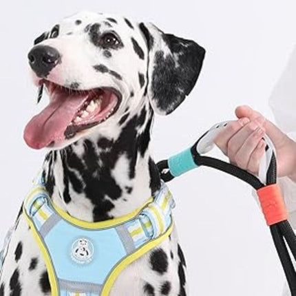 dalmatian closeup bubblegrip leash  handle