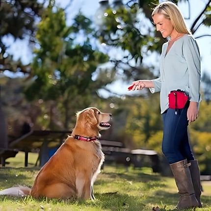 dog clicker training golden retriever