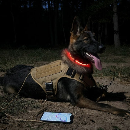 Halloween Safety Kit | Essentials for Dark Walks