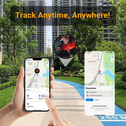 Light Up Dog Collar GlowTrack™ | Waterproof GPS Tracker for Safe Night Walks
